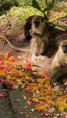 /album/fotogaleria-karibik-island-hopping-zajazd-vy-a-my/k-2-jpg/